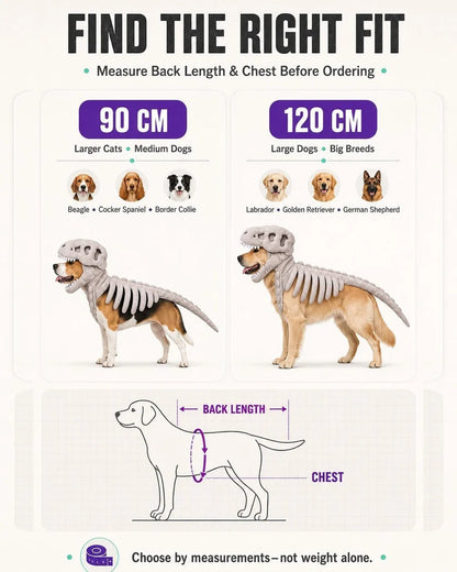 Dinosaur Skeleton Pet Costume – Turn Your Pet Into a Roaring Dino